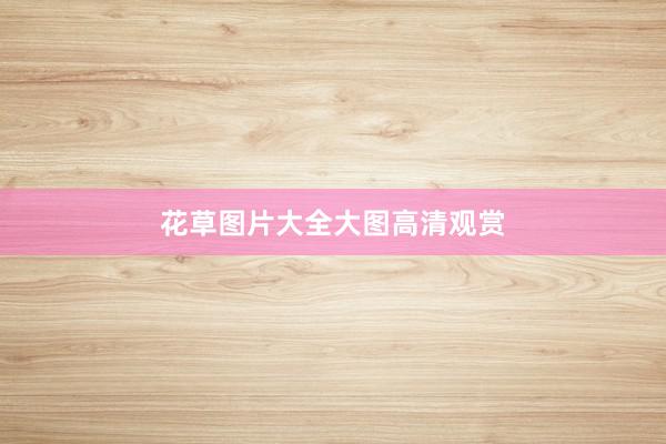 花草图片大全大图高清观赏