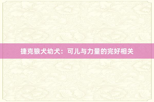 捷克狼犬幼犬：可儿与力量的完好相关