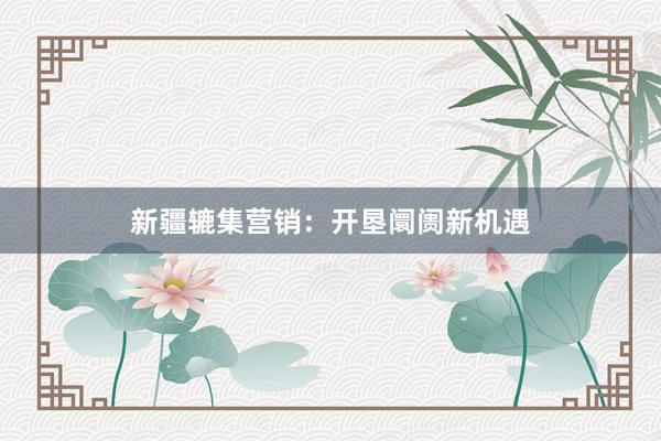 新疆辘集营销：开垦阛阓新机遇